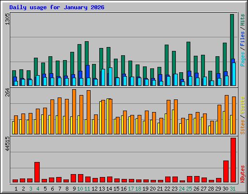 Daily usage for January 2026