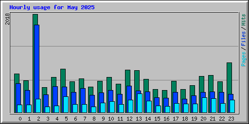 Hourly usage for May 2025
