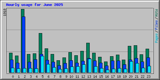 Hourly usage for June 2025