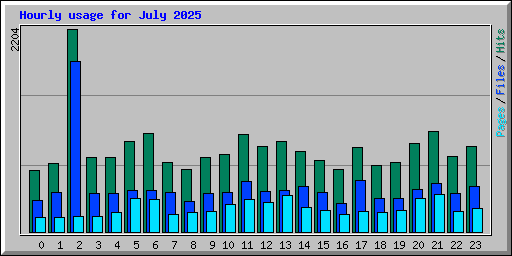 Hourly usage for July 2025