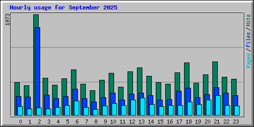 Hourly usage for September 2025