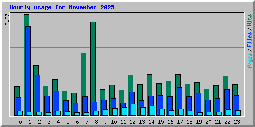 Hourly usage for November 2025