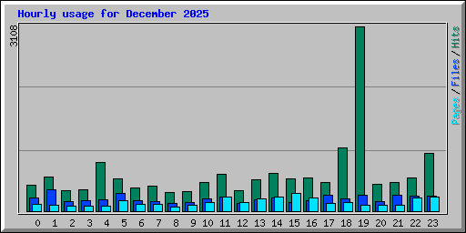 Hourly usage for December 2025