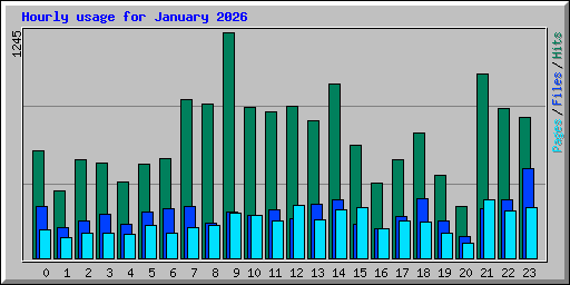 Hourly usage for January 2026