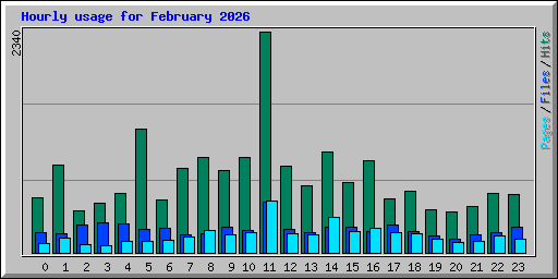 Hourly usage for February 2026