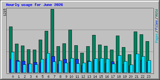 Hourly usage for June 2026