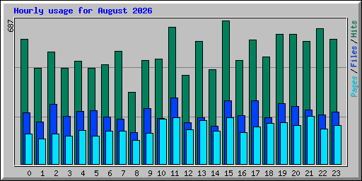 Hourly usage for August 2026